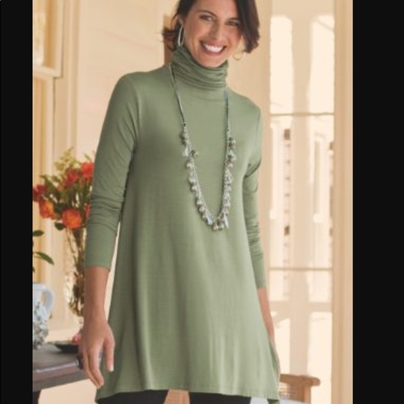 Soft Surroundings Timely Turtleneck 